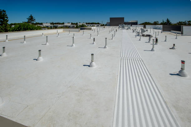 Best Storm Damage Roof Repair  in Whitehouse, OH